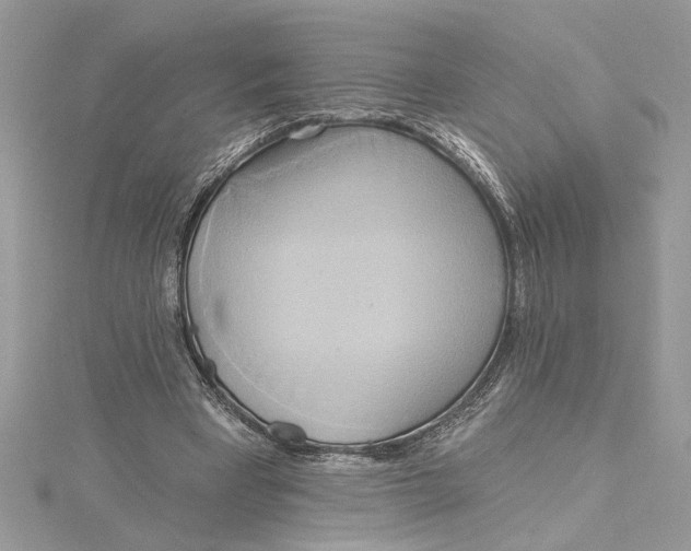 X0000115170393200911181410