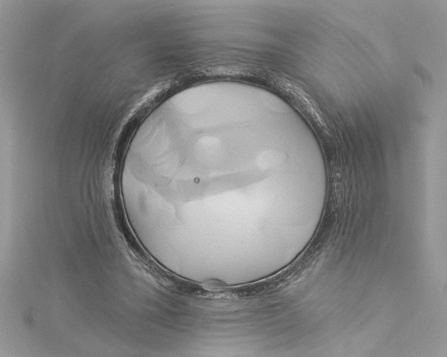 X0000115170395200911181410