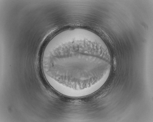 X0000115170396200911181410