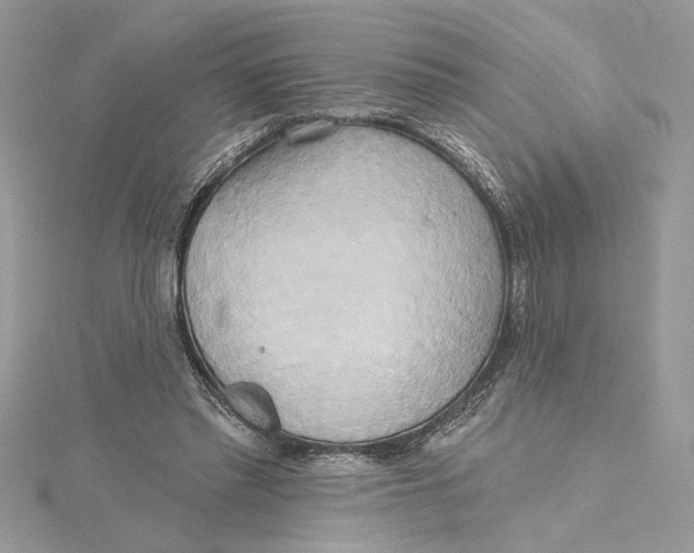 X0000115170397200911181410