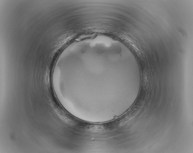 X0000115170398200911181410