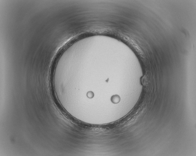 X0000115170399200911181410