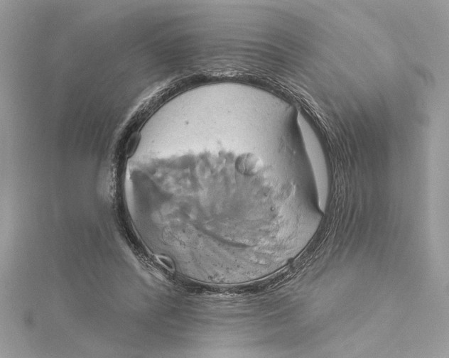 X0000115170400200911181410