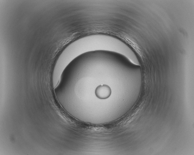 X0000115170401200911181410