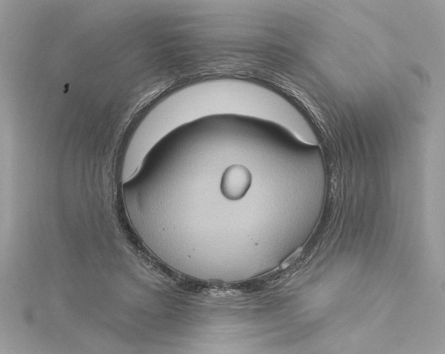 X0000115170403200911181410