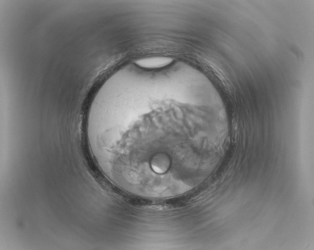 X0000115170404200911181410