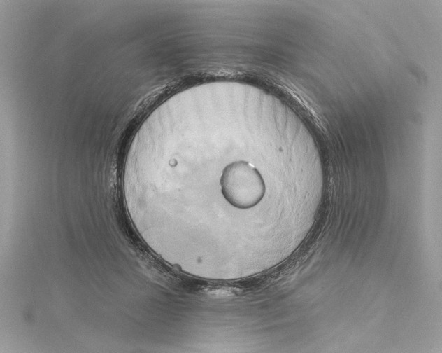 X0000115170407200911181410