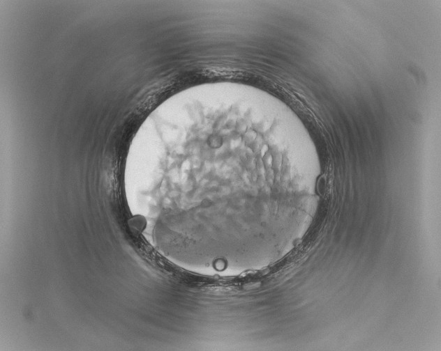 X0000115170408200911181410