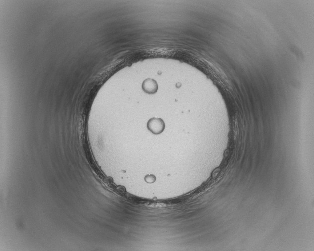 X0000115170409200911181410