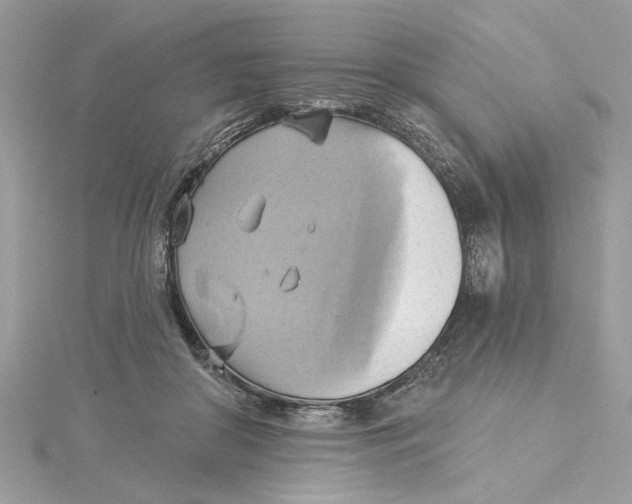 X0000115170410200911181410