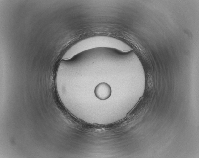 X0000115170411200911181410