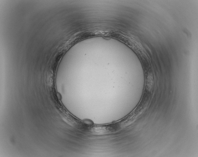 X0000115170413200911181410