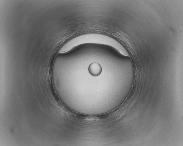 X0000115170415200911181410