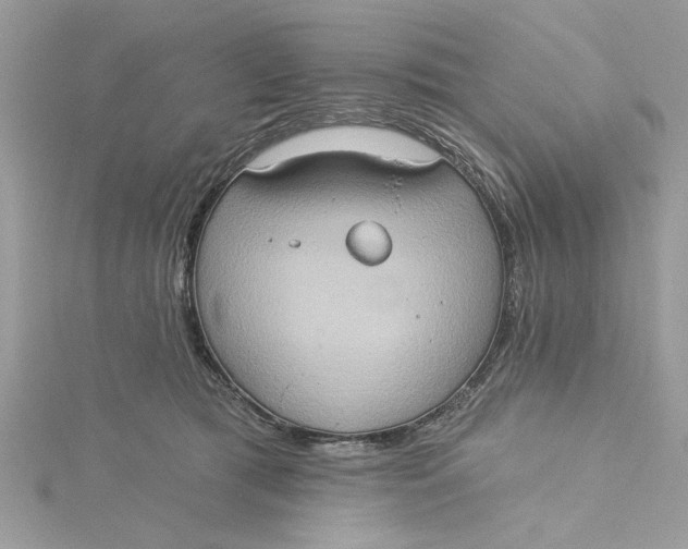 X0000115170417200911181410