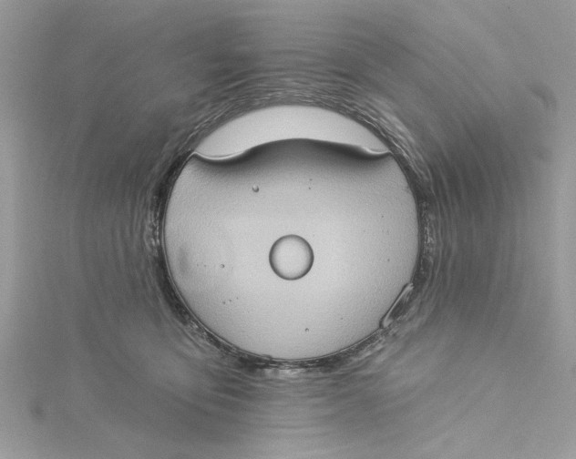 X0000115170419200911181410