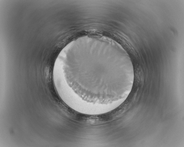 X0000115170420200911181410