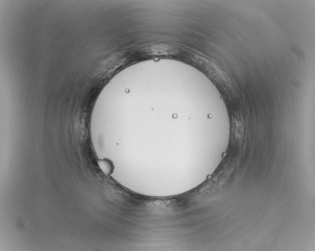 X0000115170422200911181410