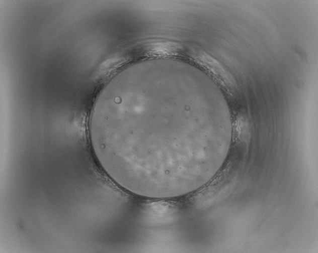 X0000115170423200911181410