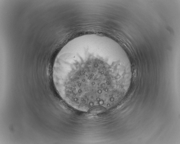 X0000115170424200911181410