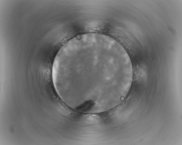 X0000115170427200911181410