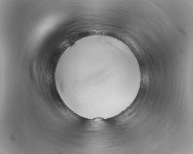 X0000115170429200911181410