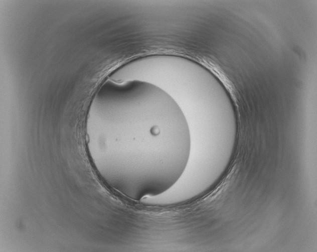 X0000115170433200911181409