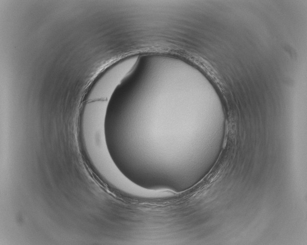 X0000115170434200911181409