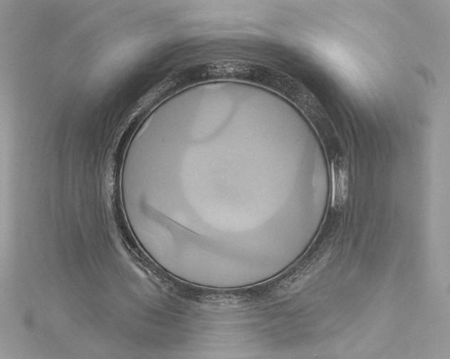 X0000115170435200911181409