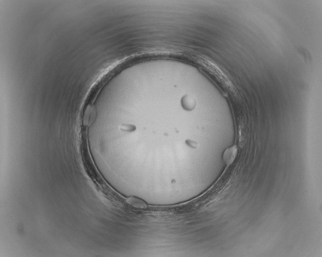 X0000115170436200911181409