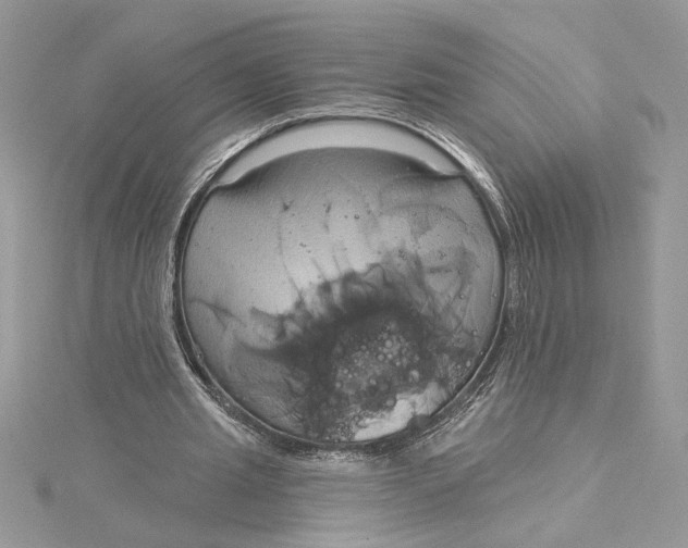 X0000115170437200911181409