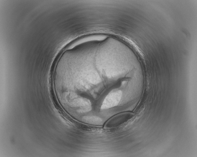 X0000115170439200911181409