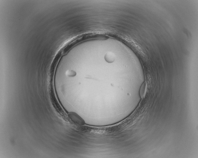 X0000115170440200911181409