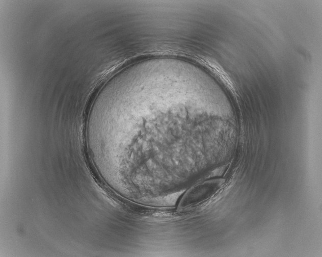 X0000115170441200911181409