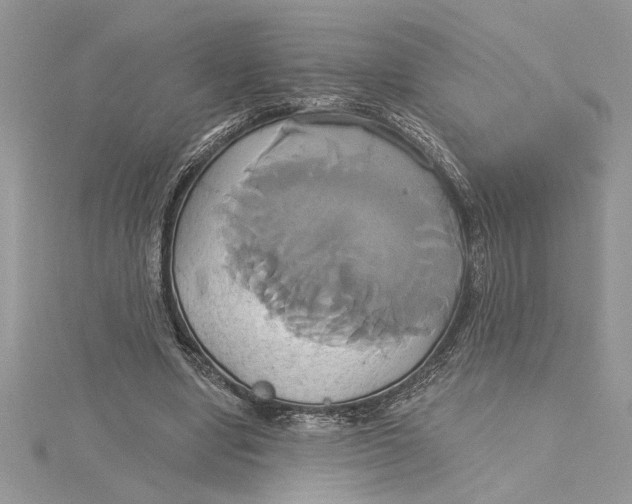 X0000115170442200911181409