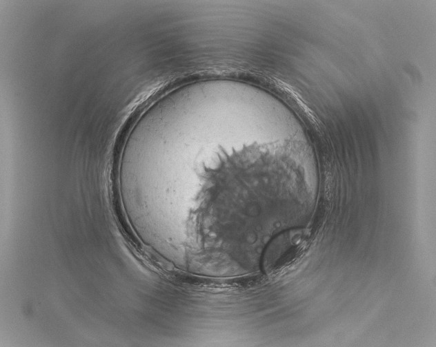 X0000115170443200911181409