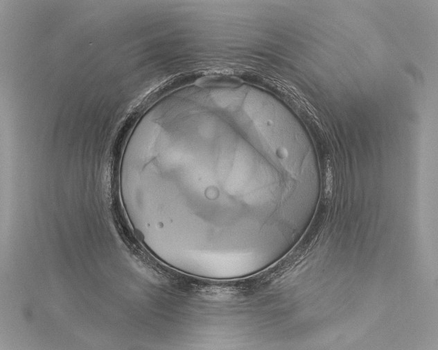 X0000115170444200911181409