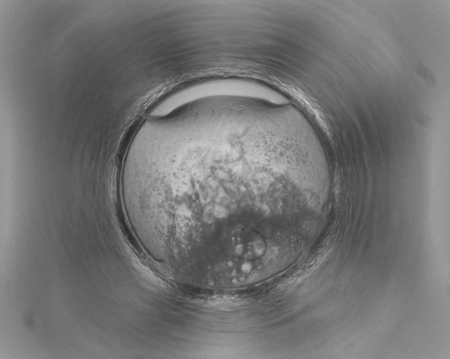 X0000115170445200911181409