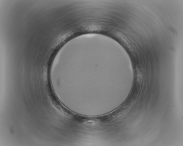 X0000115170447200911181409