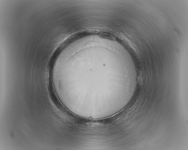 X0000115170448200911181409