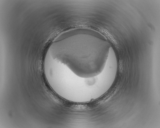 X0000115170449200911181409