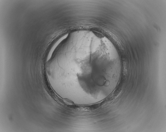 X0000115170451200911181409