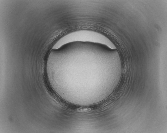 X0000115170452200911181409