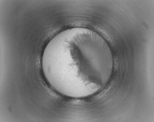 X0000115170453200911181409