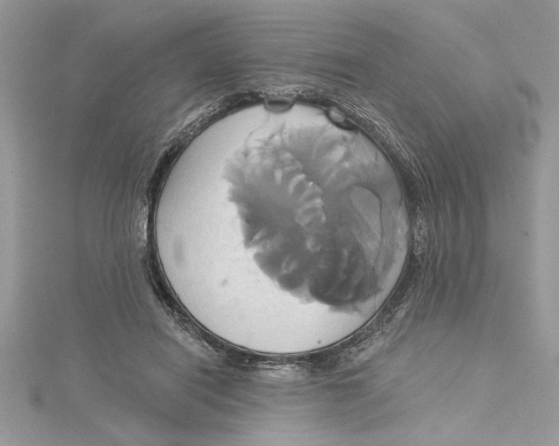 X0000115170454200911181409