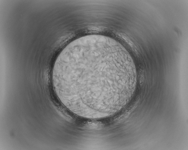 X0000115170455200911181409