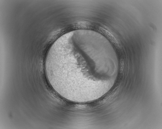 X0000115170457200911181409