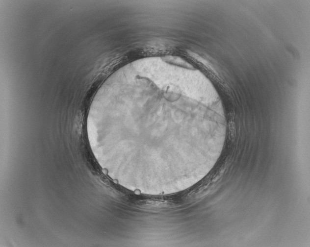 X0000115170458200911181409