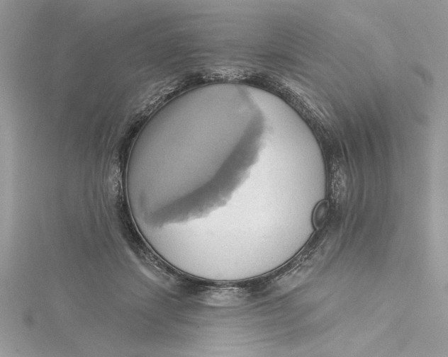 X0000115170459200911181409