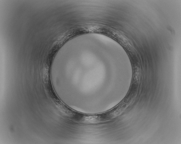 X0000115170461200911181409