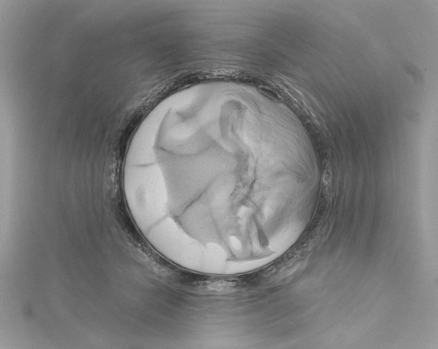 X0000115170462200911181409